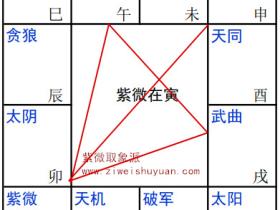 紫府同宫在寅