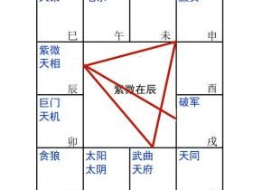 紫微天相在辰