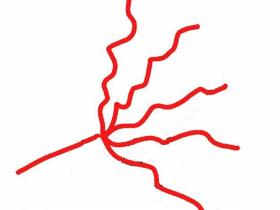 有趣的思维曲线,我们的独家法门