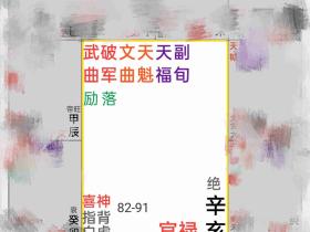 单宫星曜解读服务