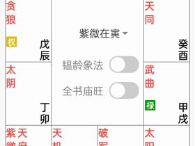 韫龄讲文曲化忌的取象