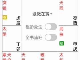 韫龄讲文曲化忌的取象