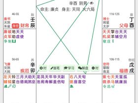 让我们从紫微角度剖析争议较大的宰相——王安石
