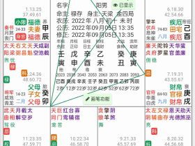 紫微取象派排盘软件 (安卓版V1.0.9)更新日志